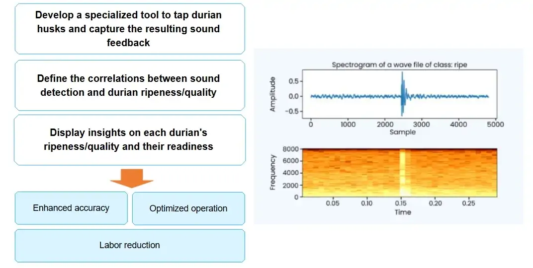 durian-quality-control-ai-fruit-grading-ripeness-detection-agriculture-quality-assessment-computer-vision-durian-sorting-system
